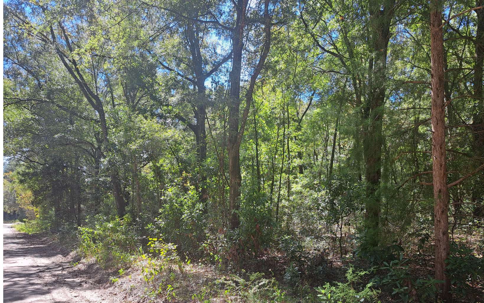 Three Rivers Estates Florida For Sale