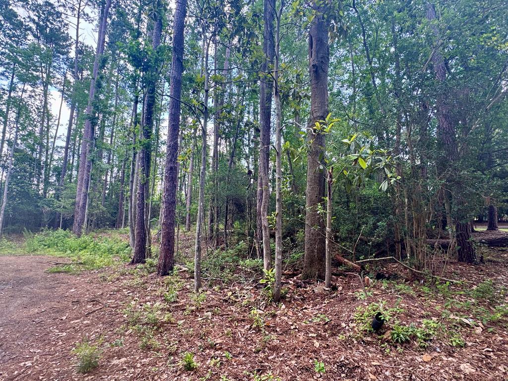 This nearly 25 acre tract sits less than a mile from the heart of historic downtown offering unmatched convenience, size, and potential!  Currently zoned Agriculture, this property offers flexibility for a variety of uses and rezoning is available to suit residential, commercial, or mixed-use development needs. Thomasville, known as the "City of Roses", is one of South Georgia's most desirable communities.  With its brick-paved streets, thriving shopping and dining scene, and close proximity to Tallahassee, FL, Thomasville is both a charming hometown and smart place to invest!  Call for more details or to set up a tour!
