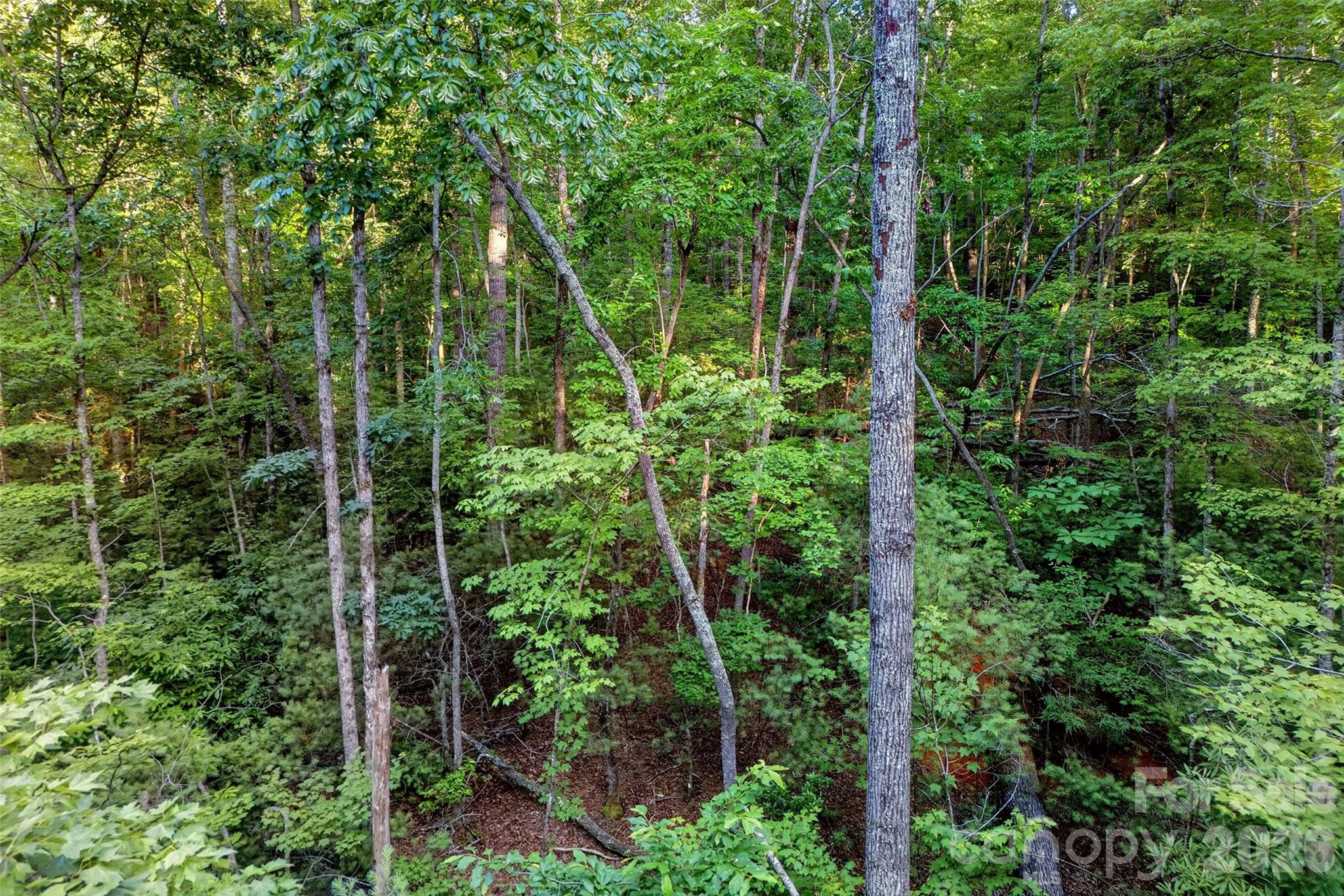 00 Yancey Road