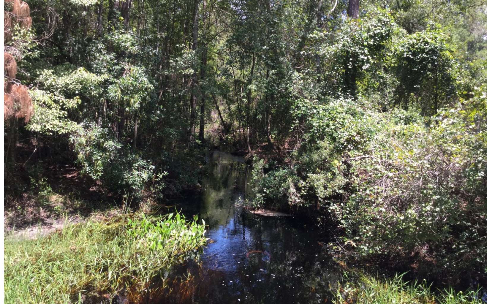 South prong of St Marys River runs thru this 1,163 acres creating what is known as Mud Lake swamp and it is full of hardwood & cypress timber making this a wild game heaven; balance of the tract consists of various ages of planted pine adding to the future value of the hard to find old swamp timber; located 4 miles south of I-10 in Baker Co, FL, this tract of land is an easy jump to Jacksonville and has even a better location to nearby lumber mills; call for details on this exciting opportunity ideal for conservation property