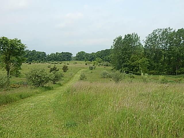 Current use is Farm,Hunting,Recreational,Residential.