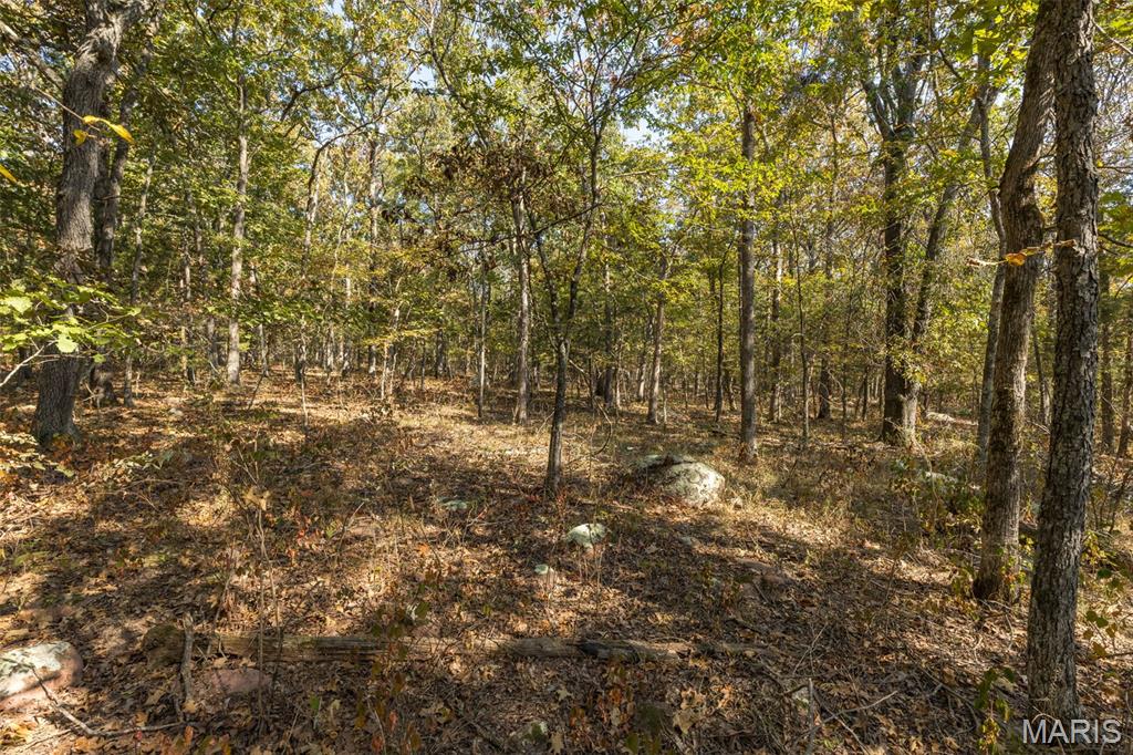 12.5+/- Acres On Effin Road