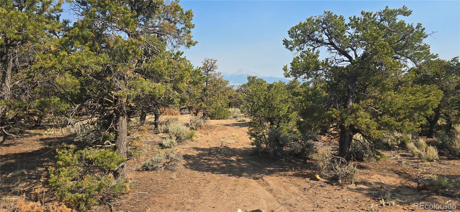 Lot 1659 Slegers Circle