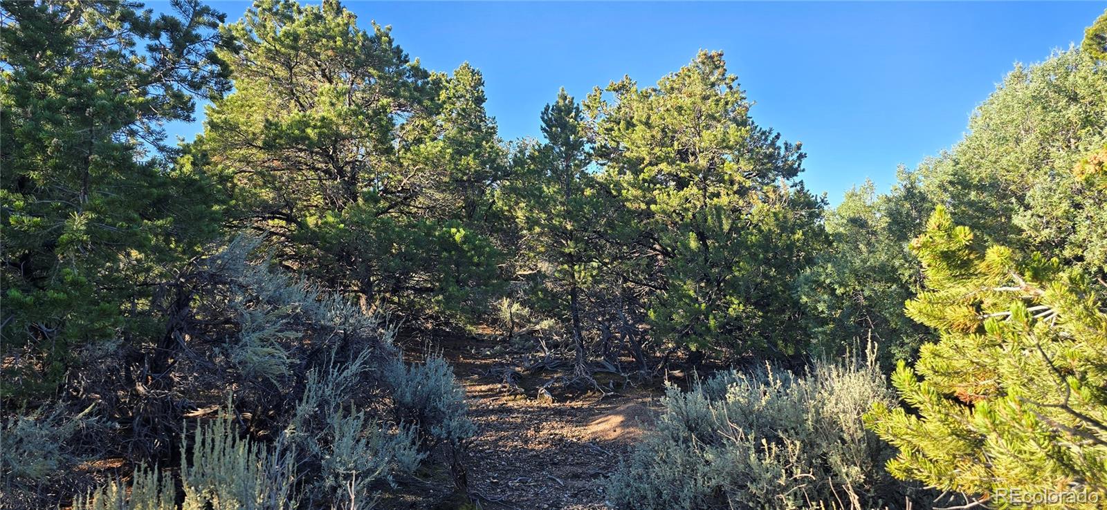 Lot 1361 Dunn Road