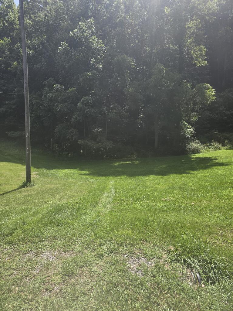 Discover 13.51 +/- acres in the beautiful Blue Ridge Mountains of Wytheville, Virginia! This unimproved property offers a great opportunity to create your own private mountain retreat, recreational getaway, hunting property, or future homesite. The property features road access from Broadway Road, with power and water available, giving you a great starting point for developing the land to suit your needs. The steepest part of the property is where the driveway could go and the property at the top flattens out where the home could go. The wooded acreage provides privacy and a peaceful natural setting with plenty of room to explore and enjoy the outdoors. Conveniently located just a few miles from Big Survey Wildlife Management Area and only minutes from the New River Trail and New River, you'll have easy access to some of Southwest Virginia's best outdoor recreation, including hiking, biking, fishing, hunting, and more. Whether you're looking for land to build your dream home, a weekend escape, recreational acreage, or an investment for the future, this 13.51 +/- acre tract is full of possibilities. Bring your vision and make this beautiful piece of Southwest Virginia yours!