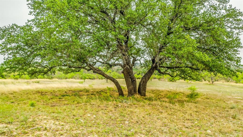 Lot 3 County Road 322