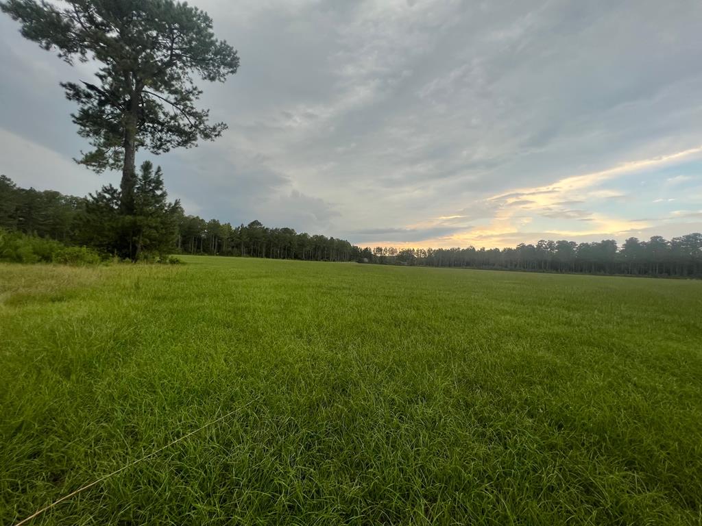 Eufaula Lots & Land for Sale