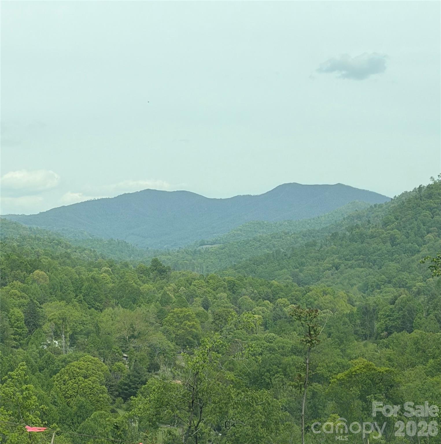 1306 Fork Mountain Road