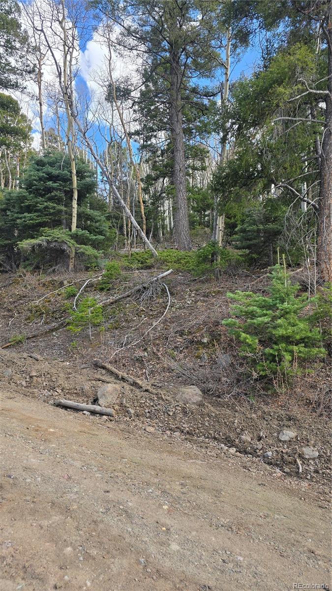 Lot 5261 Scott Road