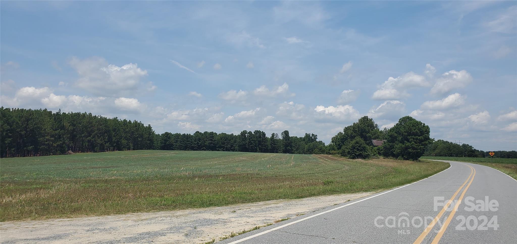 Beautiful rolling Montgomery County land with lots of paved road frontage, county water, organic farm fields,. This is an excellent site for residential building lots.  This approximately 6 acres south of Wrenns Way to be cut out of a larger tract. Buyer to hire surveyor and have survey done. Price is $15,000/acre per new survey.
Street number is for MLS purposes and should change when land is cut out of larger tract.