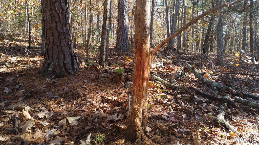 10256 Christina Trail