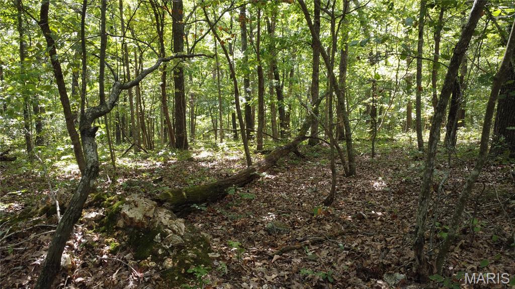 10223 San Juan Trail