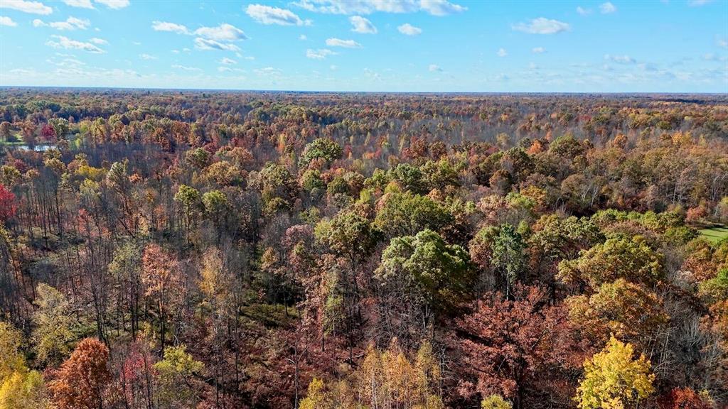 77.5+/- Acres Of Hunting And Recreational Land With State Land Access Near Midland And Mt. Pleasant.Located in Midland County, just 14 miles from Midland and 20 miles from Mt. Pleasant, this 77.5?? acre property offers an excellent combination of hunting opportunity, location and build potential. The entire southern boundary borders public land, providing direct access to over a thousand acres of state land offering additional hunting and outdoor recreation opportunities.

With a few strategically placed food plots, you could easily draw deer and turkey from the adjoining state land, which currently offers little in the way of food sources. The front portion of the property includes 5-8 acres of open tillable ground, ideal for row crops or wildlife plots to enhance your hunting setup. The balance of the land features thick bedding and fawning areas and several locations for food plots and provides quality habitat to hold game throughout the year.

The property fronts a paved road along the north line, offering several suitable areas for camping or potential building sites. With major utilities available nearby running the entire length of the road frontage, future development or seasonal use is simple and convenient. Multiple access points allow for flexible entry without interfering with hunting setups or wind direction.

With its close proximity to major communities, hunting potential, utilities nearby, and direct border with state land, this 77.5?? acre parcel is well-suited for anyone looking for a manageable hunting and recreation property or a full-time combination property in Central Michigan. Give Chuck Keefer a call directly today to schedule a private tour. 989-600-4112. Current use is Hunting,Recreational.