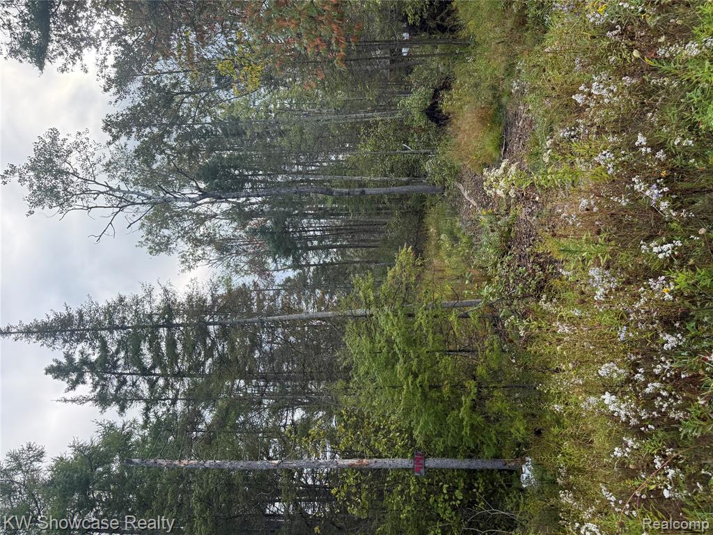 12.87 Acres with 1,000 Feet of Thunder Bay River Frontage – Atlanta, MI

Discover the perfect Northern Michigan retreat with this stunning 12.87-acre parcel of vacant land, ideally situated off M-33 in Atlanta, MI. Featuring approximately 1,000 feet of private frontage on the scenic Thunder Bay River, this property offers a rare opportunity to enjoy nature at its finest.

Several large areas have already been cleared, making it ideal for a weekend camping getaway, private recreational haven, or future development. An artesian well is located on the property, providing a natural water source.

The Thunder Bay River winds through 75 miles of Northern Michigan’s pristine wilderness, offering abundant recreational opportunities. Anglers will appreciate the river’s healthy populations of trout, smallmouth bass, walleye, pike, and seasonal salmon runs. The river and its coldwater tributaries—like Gilchrist Creek and the Sturgeon River—are regularly stocked and provide excellent fishing.

Paddlers will enjoy the variety of water conditions the river presents—from peaceful stretches perfect for beginners to more challenging routes. 

Located within the watershed of Michigan’s only wild elk herd and surrounded by the Mackinaw State Forest, this property is a haven for outdoor enthusiasts. Whether you're planning a rustic escape or exploring potential development, this beautiful tract offers it all.

Close proximately to trails for snowmobiles, side by sides, and off road vehicles.

Due to recent rains, some areas may have standing water. Bring appropriate footwear when touring the property.