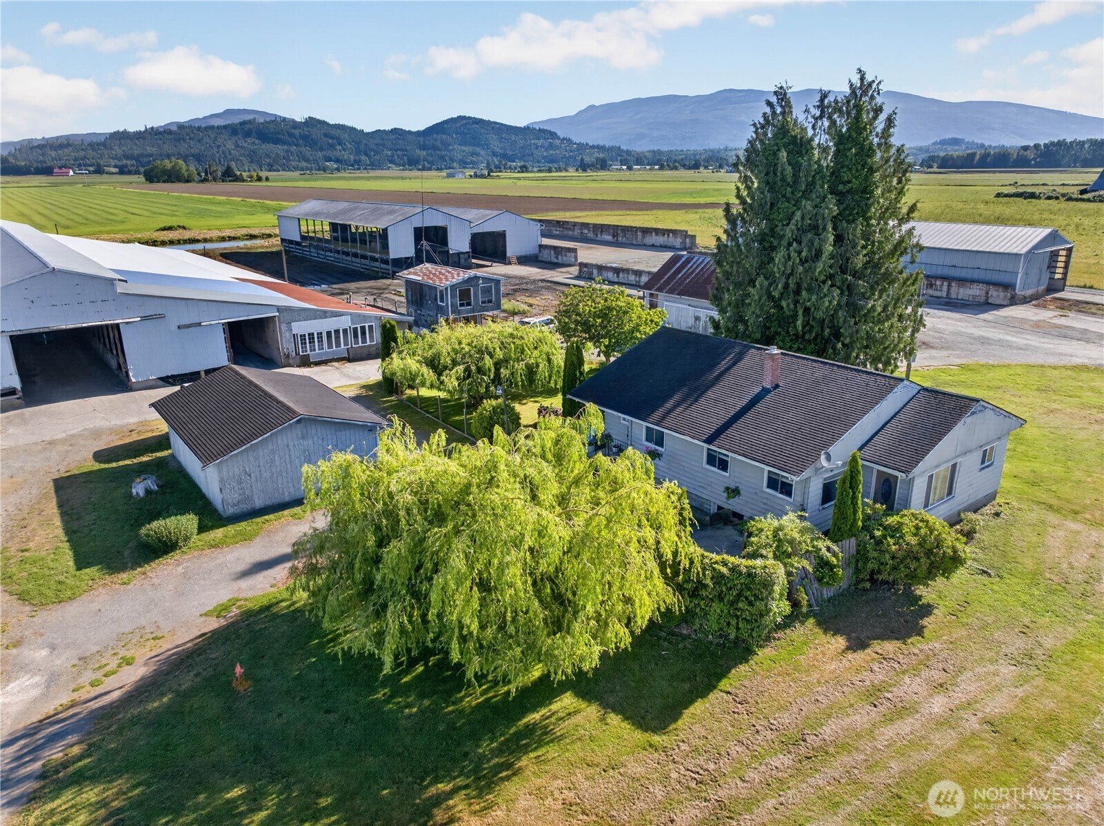 A rare opportunity to own 138 acres of prime Skagit Valley farmland complete with a residence and multiple barns- providing the perfect foundation to build your agricultural legacy.  Conveniently located just over one mile east of I-5, this exceptional property offers easy access to markets both north and south, making it ideal for a wide range of farming operations.  Featuring highly productive silt loam soils, the land is well-suited for growing a variety of crops and agricultural products.   The existing barns provide ample space for horses, cattle, goats, sheep, poultry, or other livestock, while also offering abundant storage for equipment, trucks, feed, and harvested crops.  The property includes PUD water service to the residence and a spacious four-bedroom home, creating a comfortable living environment right on the farm.  Opportunities to acquire a property of this size, quality, and location are increasingly rare. Don't miss your chance to explore everything this remarkable farm to offer- schedule a showing today.