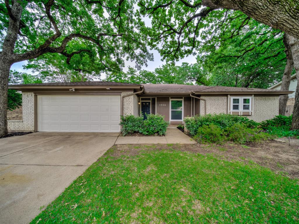 3906 Firethorn Drive