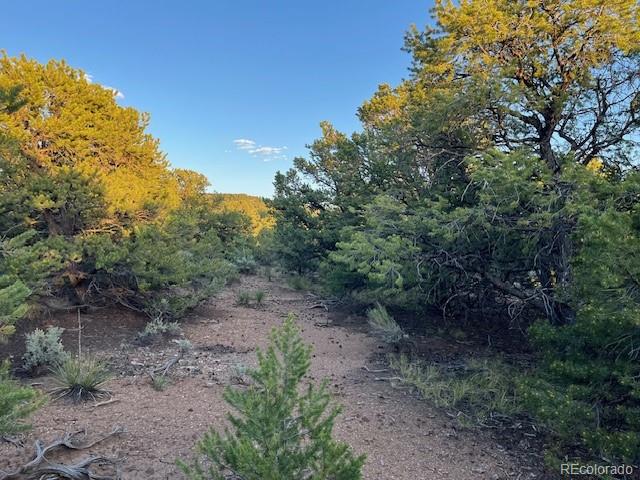 Lot 1575 Balleroy Road