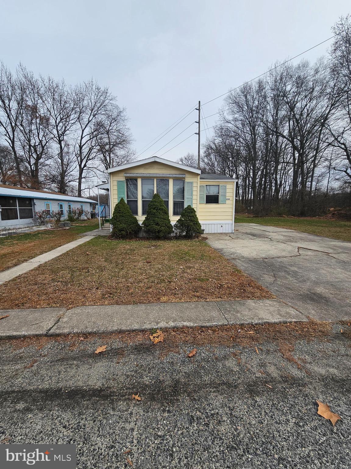 239 Pin Oak  