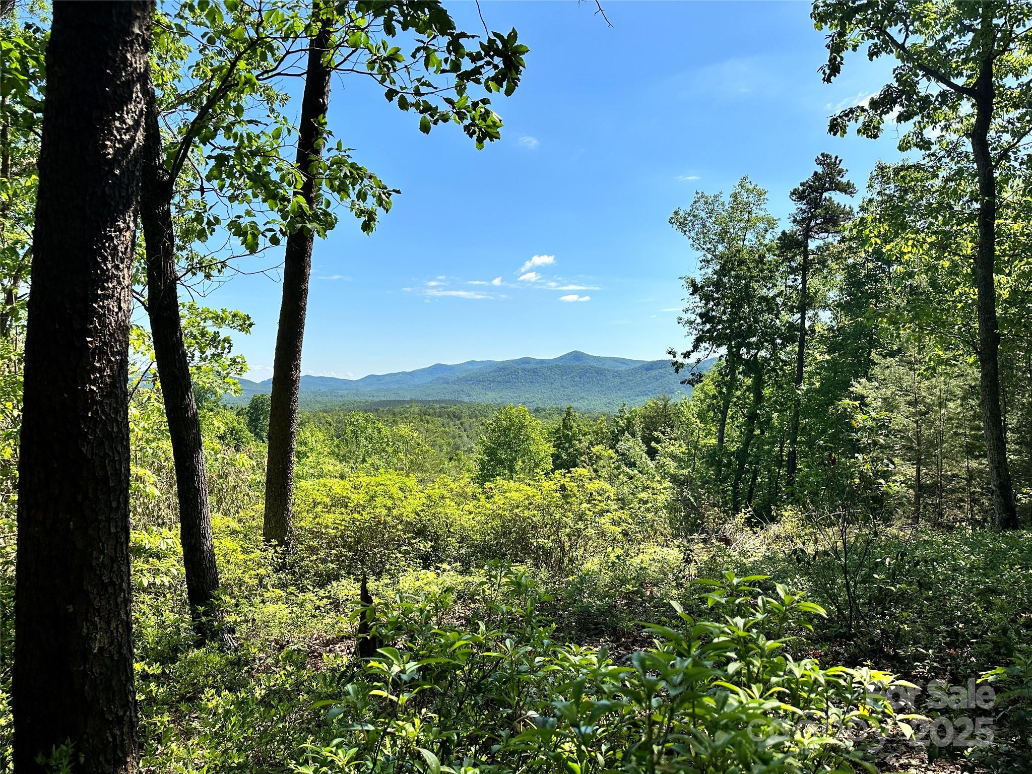 113 Valley View Trail 323