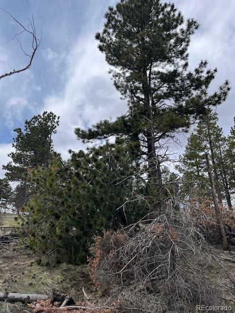 Lot 291 Dany Place