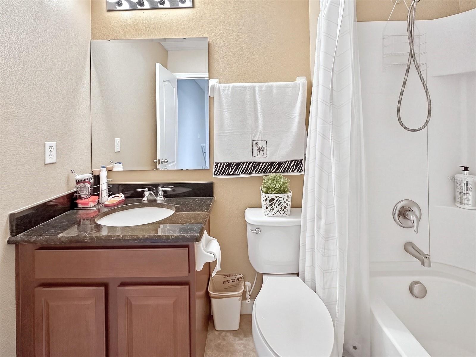 4309 Regal Town Lane