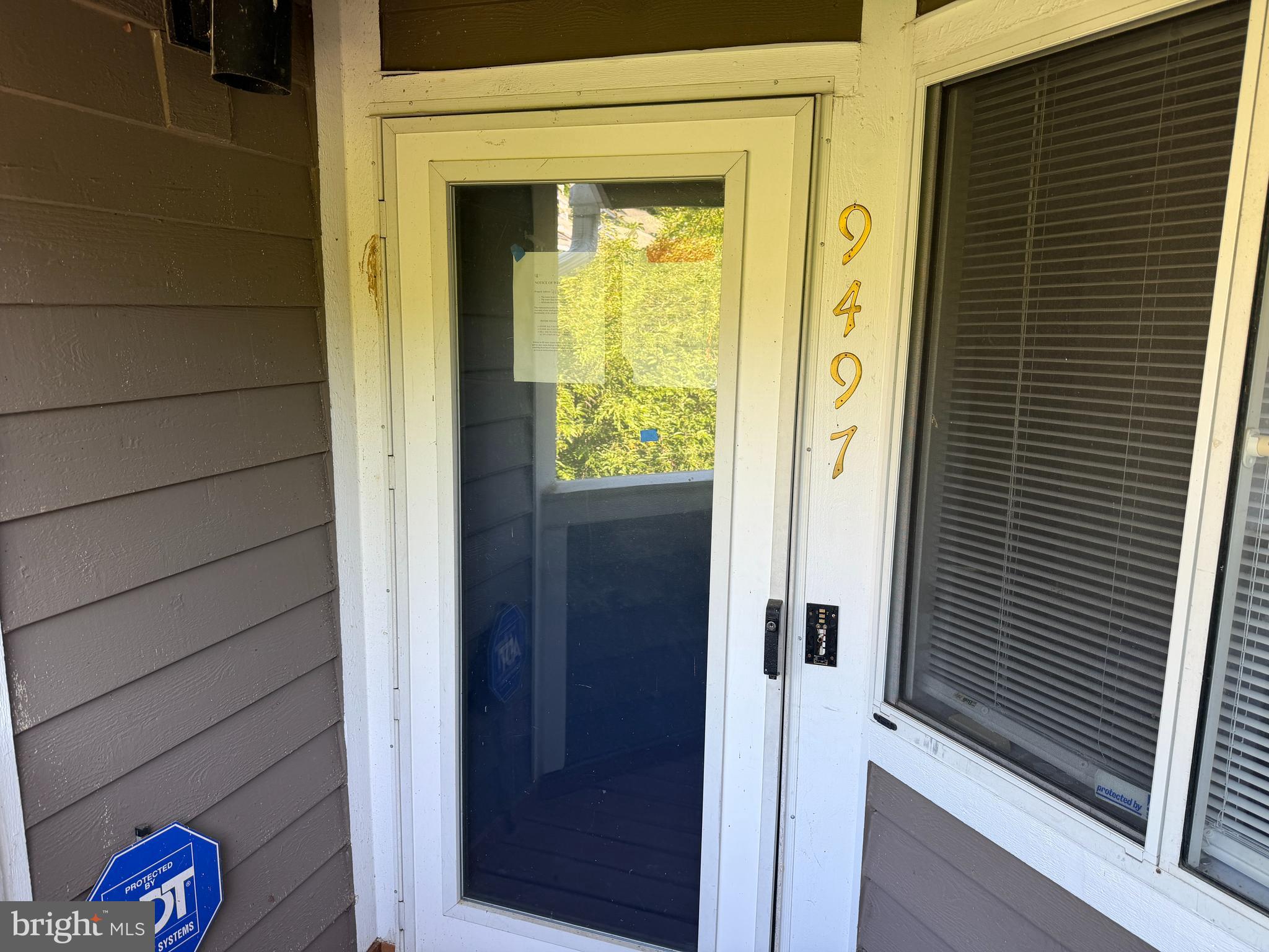 9497 Hickory Limb 301