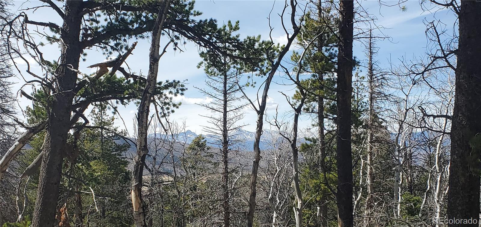 Lot 2560 Grojean Drive