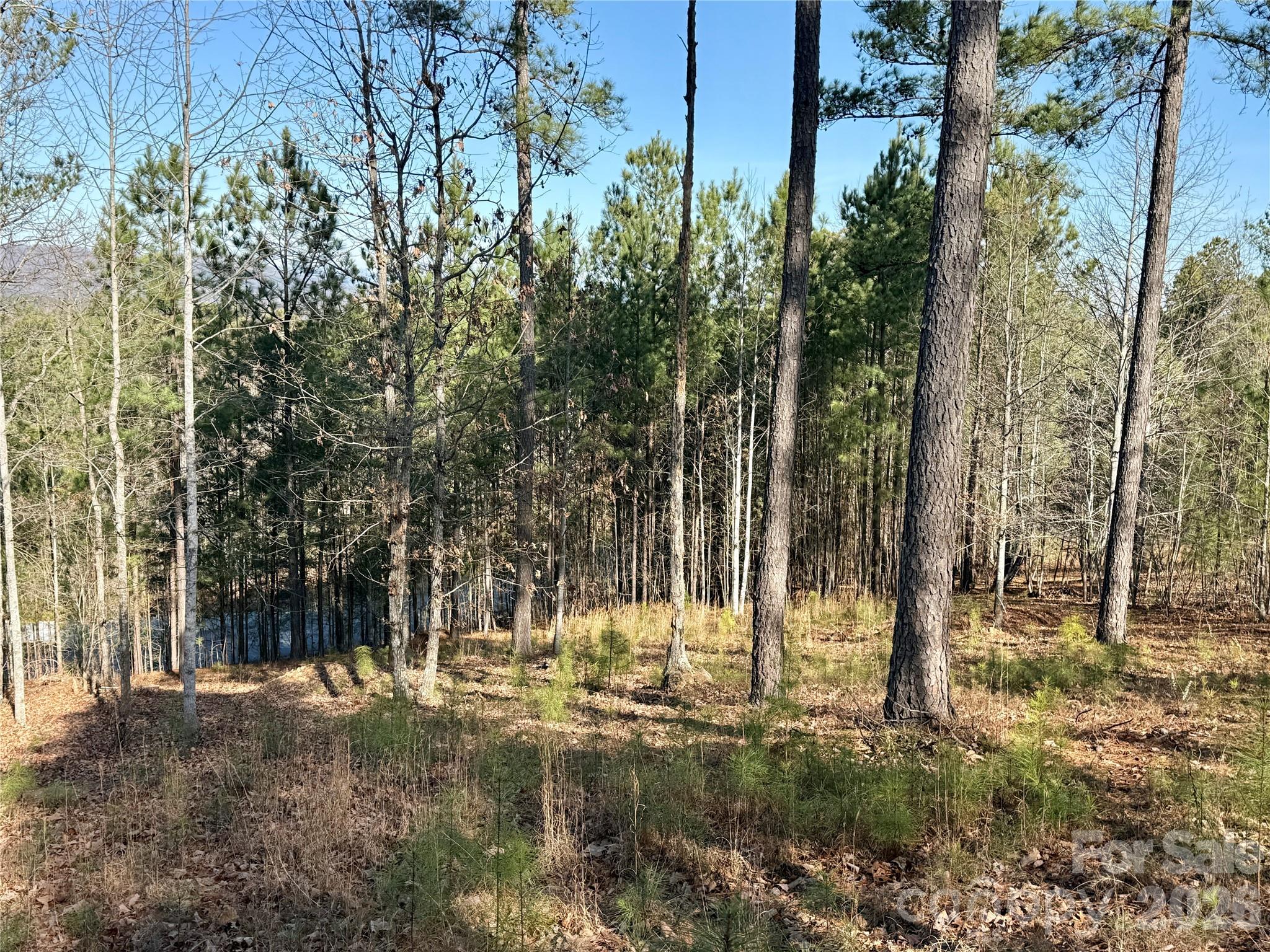 338 Grandview Peaks Drive 36