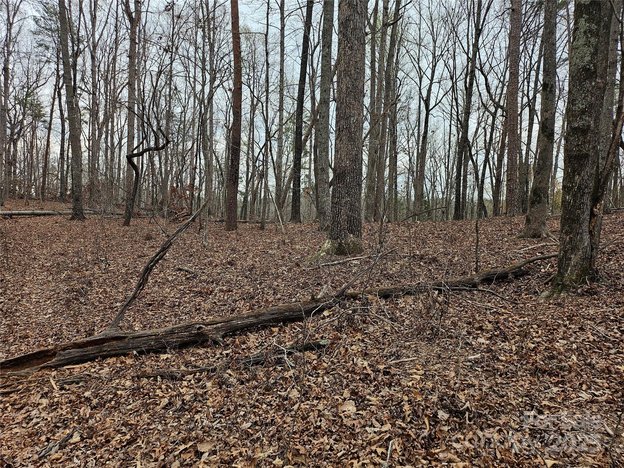 LOCATION, LOCATION, LOCATION...This is one of the last large acreages in the City Limits of Columbus, the County Seat for Polk, North Carolina. Along with what is already here, there is continued growth and development. It has a small-town feel with proximity to Asheville, Hendersonville, Spartanburg, and Greenville, South Carolina. Walk to everything and be a minute to Interstates, airports, and the great outdoors. More acreage available in addition to the forty...
Call the Listing agent to see and feel the possibilities!
