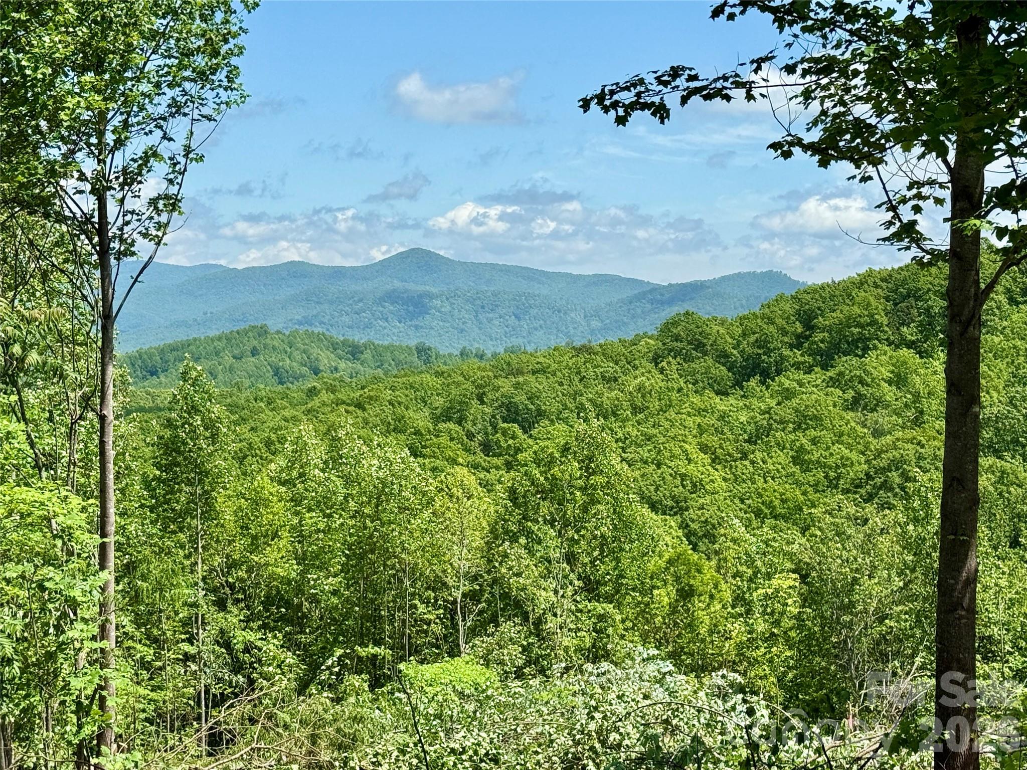 1143 Grandview Peaks Drive