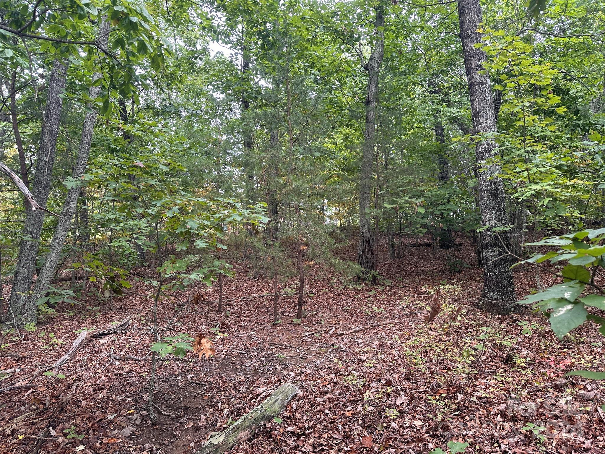 333 Mossy Oak Trail 164