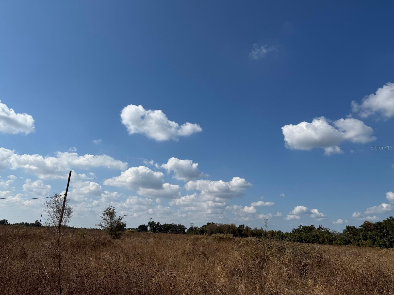 12828 Fort King Highway