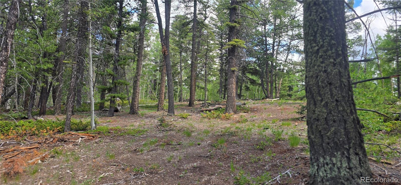 Lot 5778 Balleroy Road