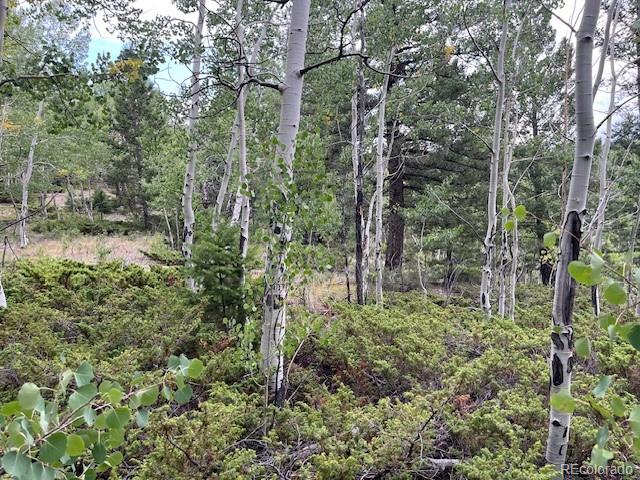 Lot 6184 Ryland Road