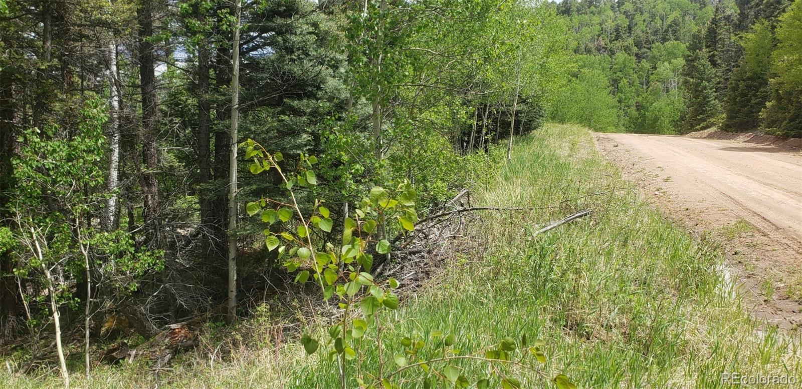 Lot 6388 Jaquez Road