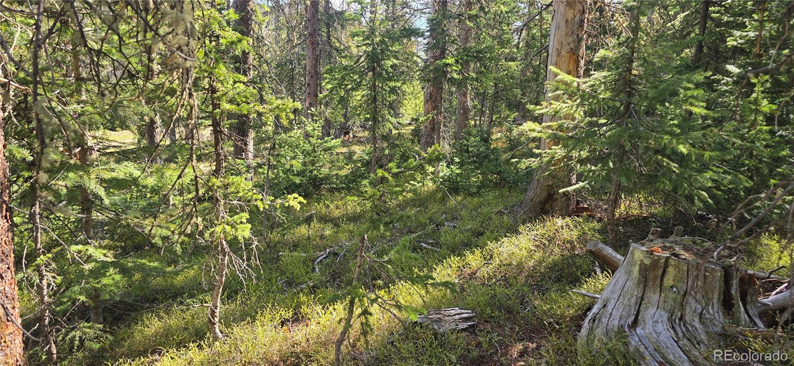 Lot 6515 Doyle Road