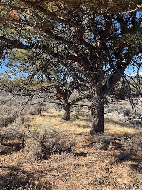 Lot 4875 Durante Road