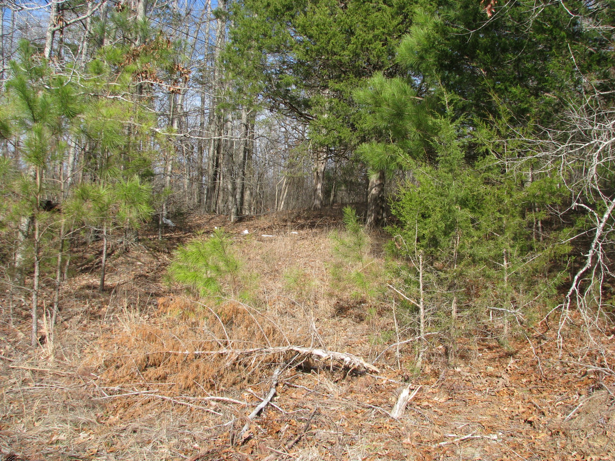 0 Cuba Landing Rd