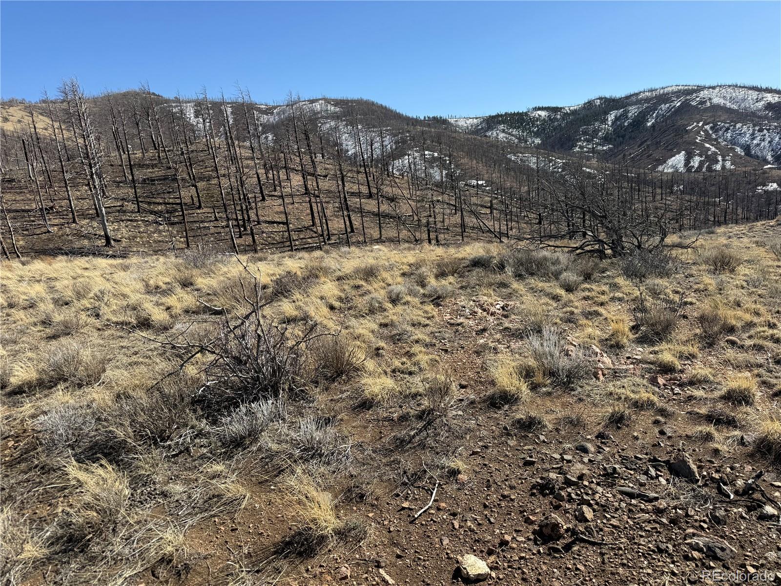 Lot 385 Soubry Place