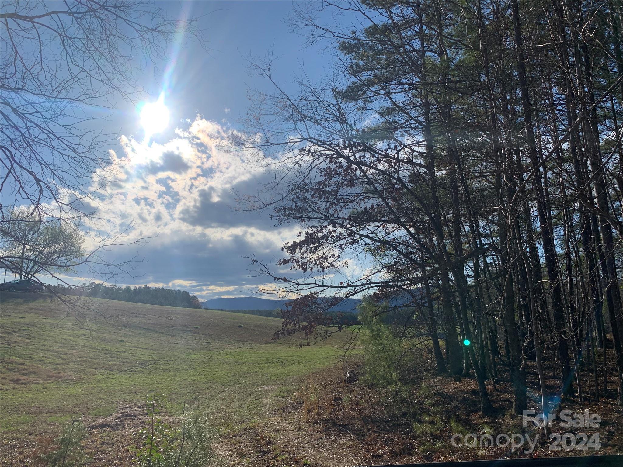 Here is a nice large tract of property at the end of Lynch Road within a few miles of Highway 9 North in Mill Spring, North Carolina.   The property has beautiful trees, several streams, mountain views and an abundance of wildlife.  More pictures of land and old survey coming!