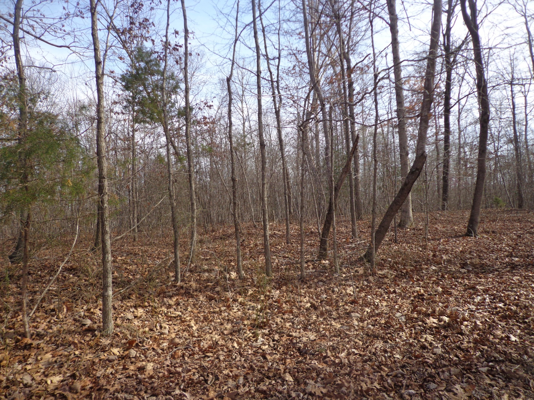 0 Ennis Branch Road