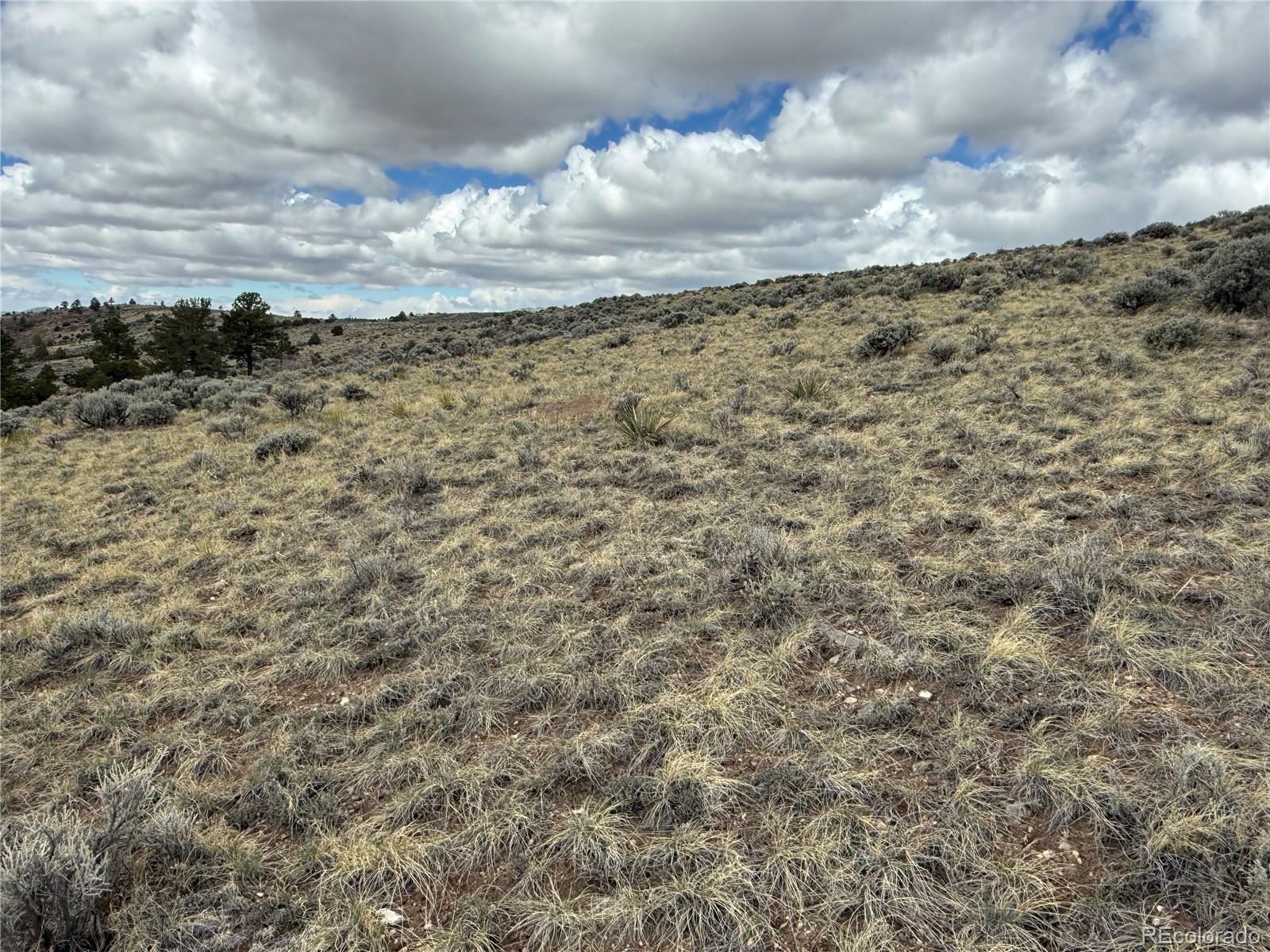 Lot 297 Boothby Lane