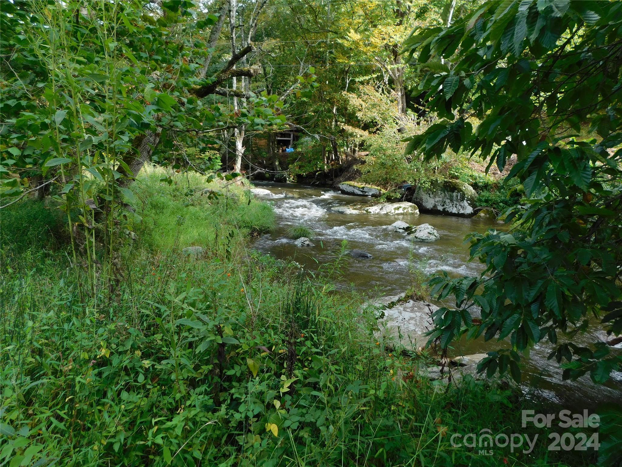 3206 Fork Mountain Road