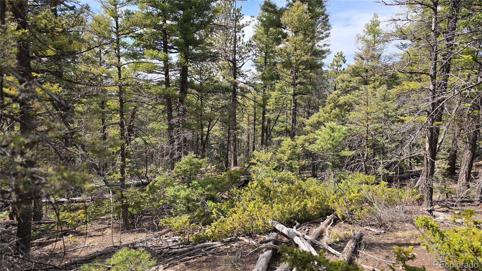Lot 6070 Vreeland Road