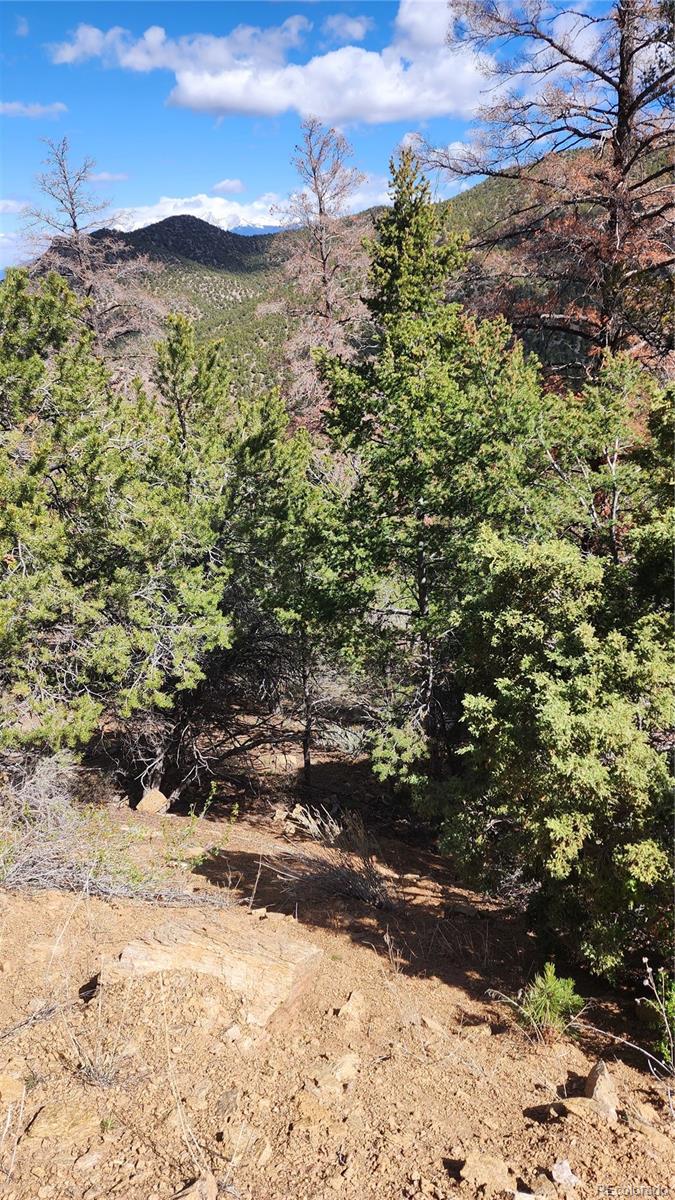 5040 & 5041 Mamouche Road