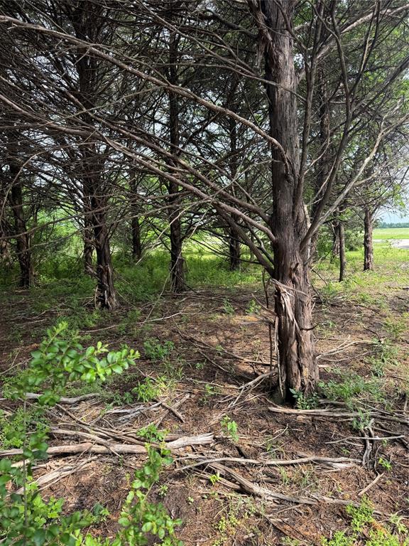 TBD 2.824 acres Fm 901