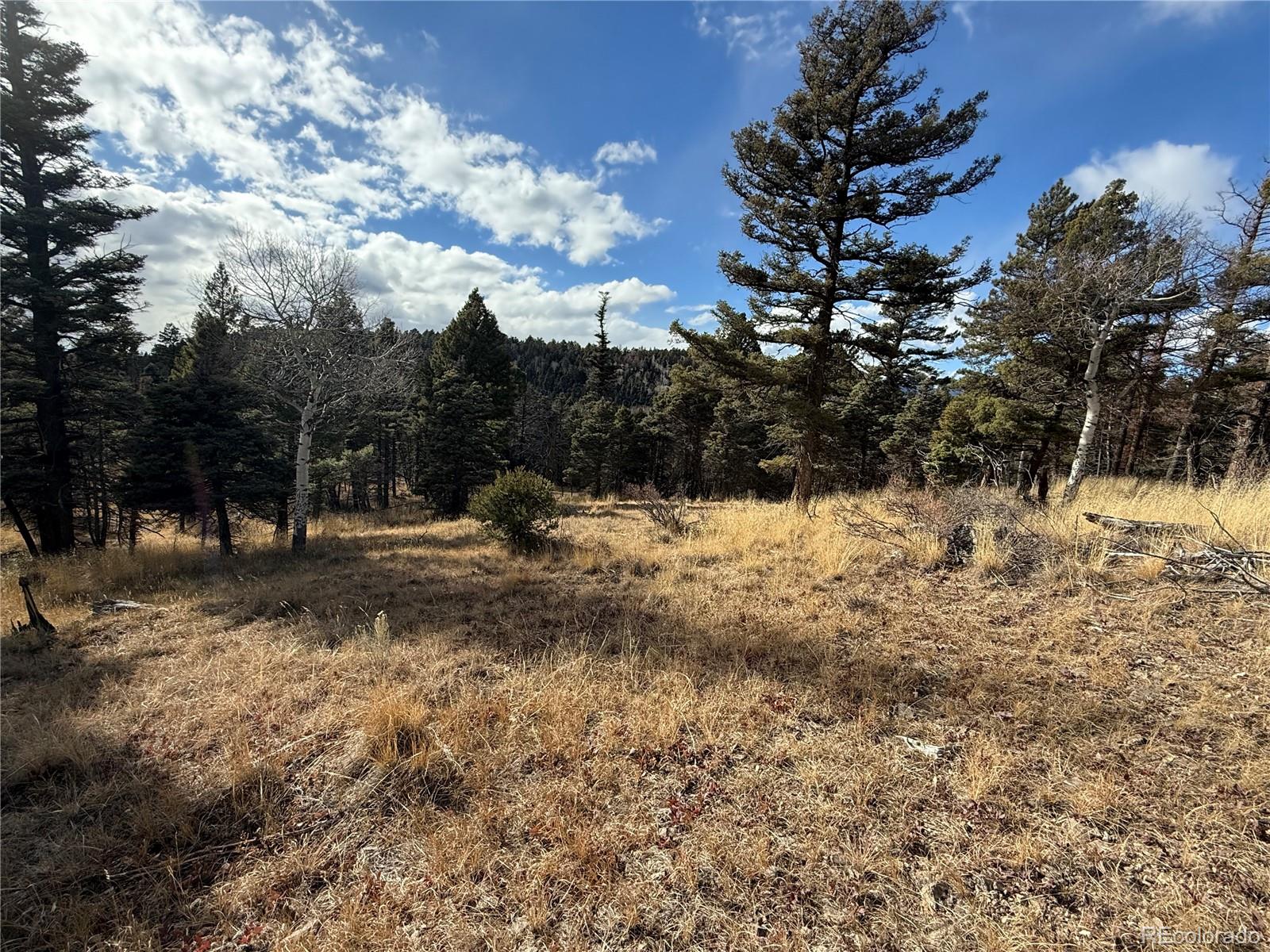 310 Morley Place