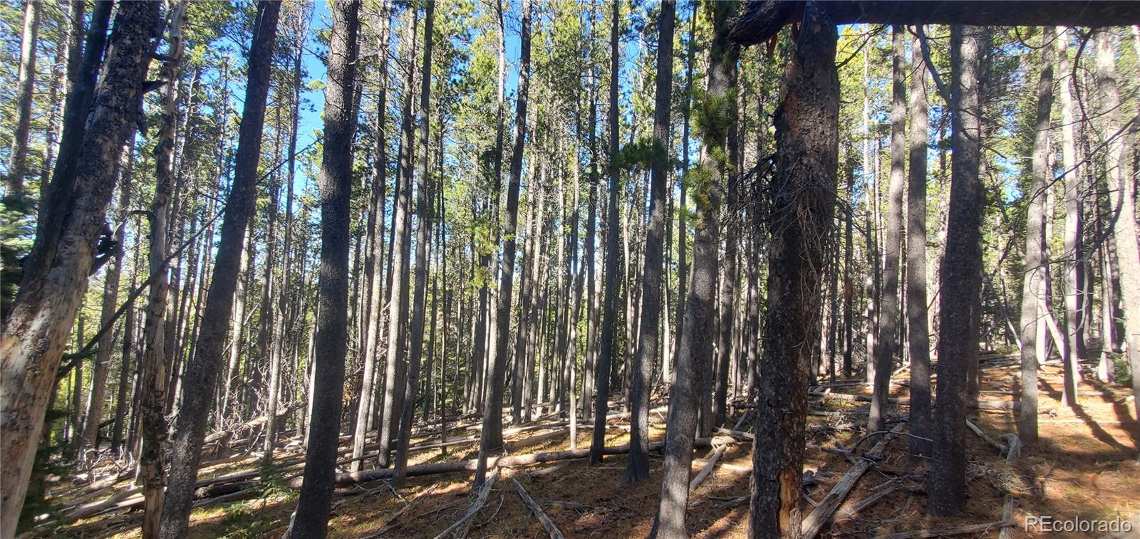 Lot 2682 & 2683 Purnell Lane