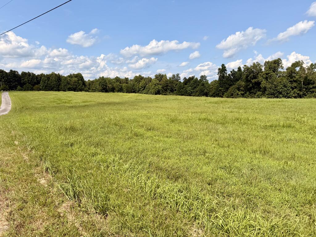 220+/-AC Hensley Cemetery Ln