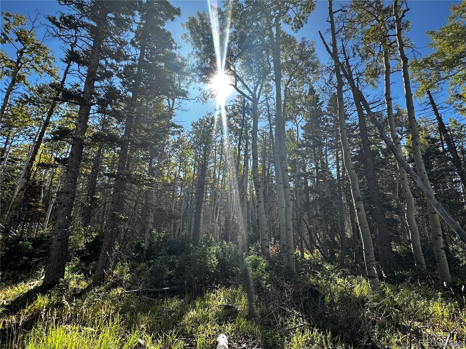 Lot 2652 Petito Drive